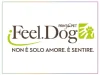 Logo_250x190_IFEELDOG_2